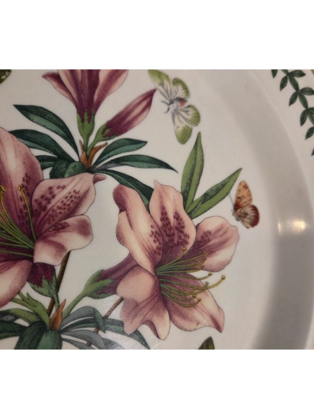 Portmeirion Dinner Plates Set 2 Rhododendrum Liliflorum & Prunus Dulcis - Picture 4 of 10